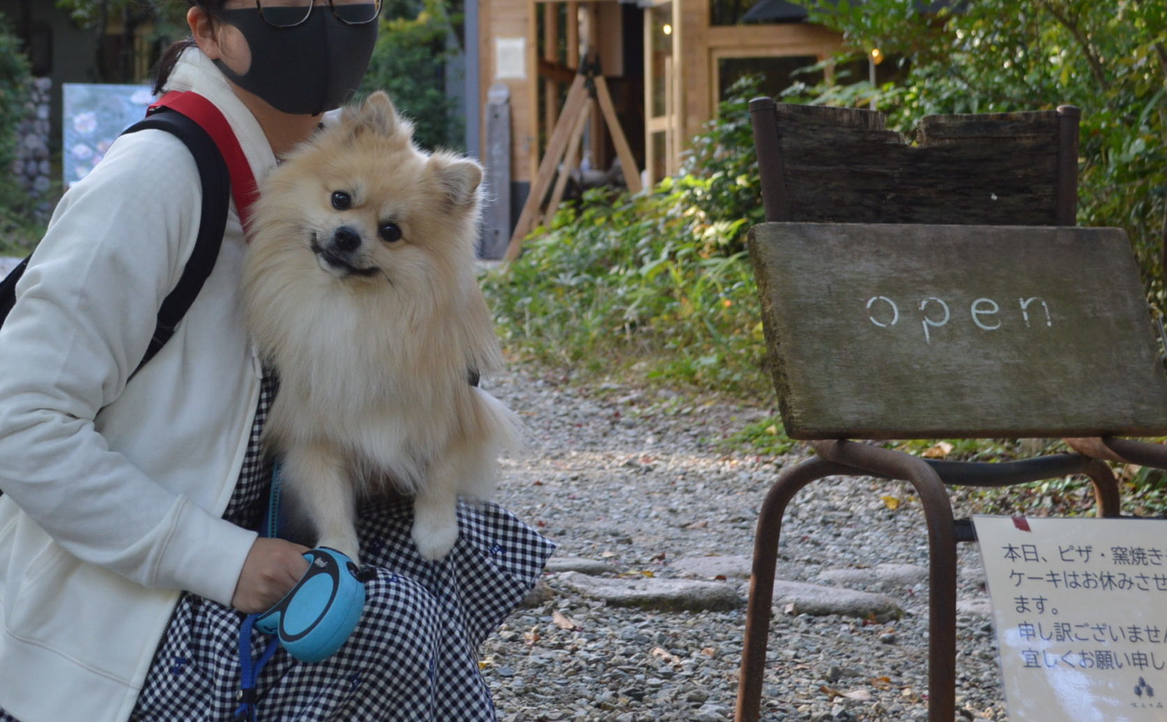犬 と お出かけ 浜松