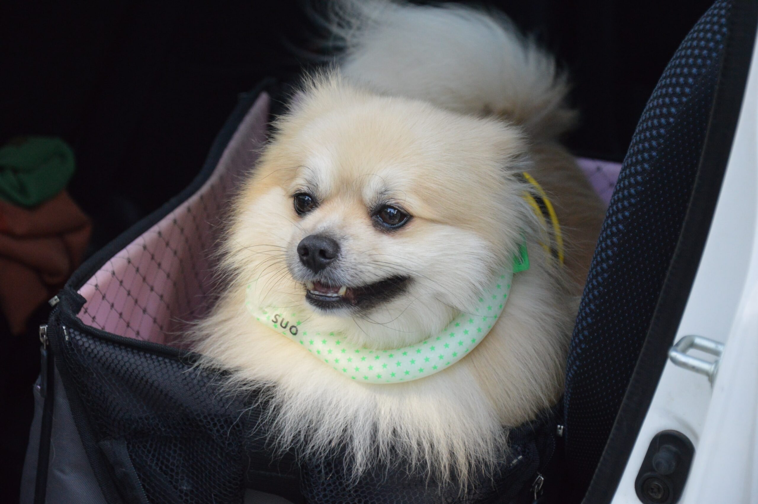 2023-07-17_07-03-29_500-min-