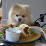 IMG 7464 e1729002017713